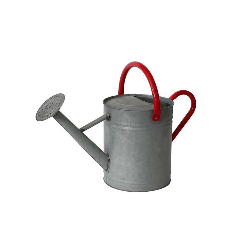 Galvanised Watering Can 10L