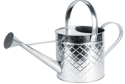 Traditional Design 2 Gallon Galvanized Steel Watering Can