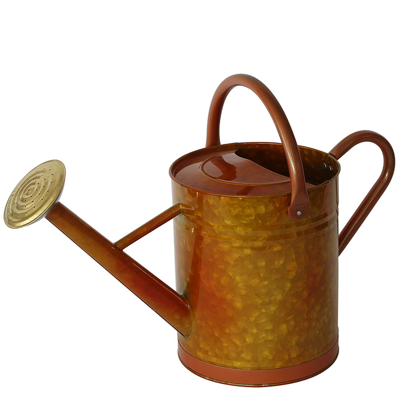 Antique Finish Galvanized Steel Copper Watering Can