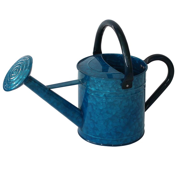 Water can supply wholesale cheap antique watering can