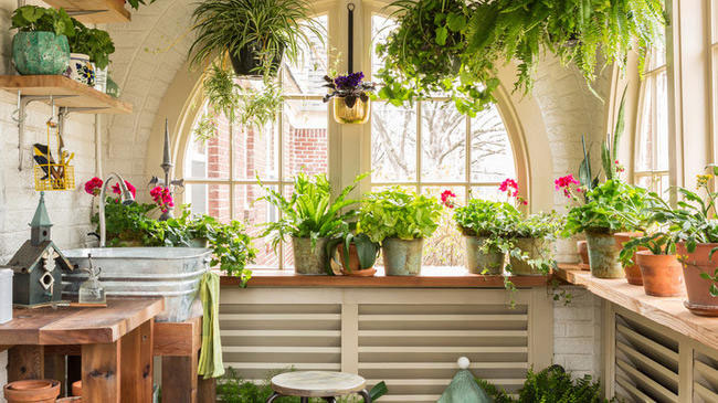 The Growing Trend of Indoor Gardening: A Flourishing Industry