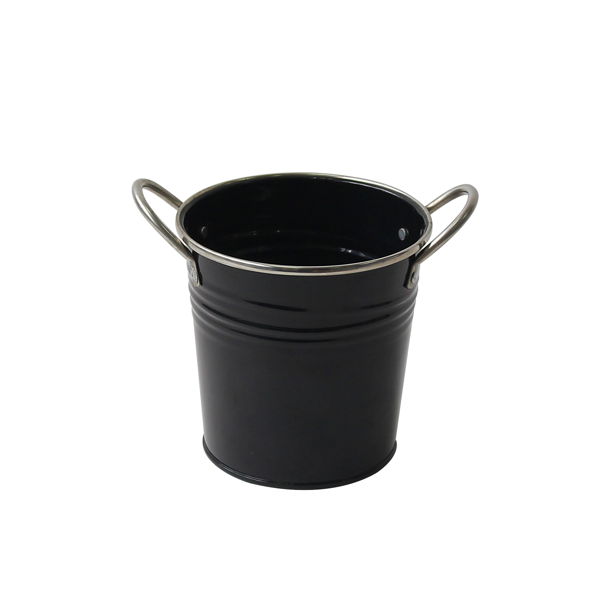 Galvanized Bucket with stainless rim