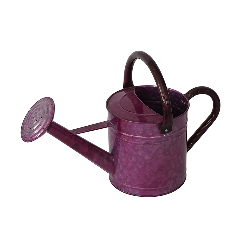 Best Choice Products Gardening Galvanized Steel Watering Can