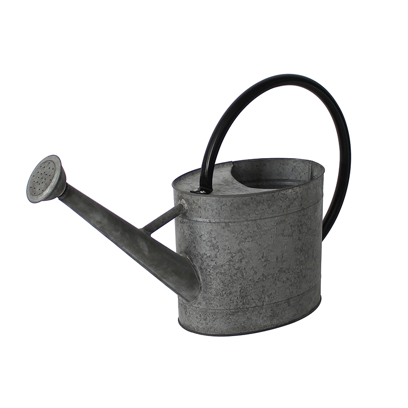 Galvanized Metal Shower Pot Potted Plants Watering Can 