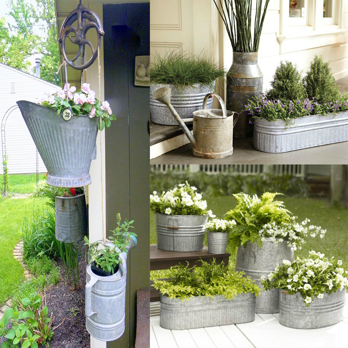 I particularly like to use galvanized planters​ for indoor plants
