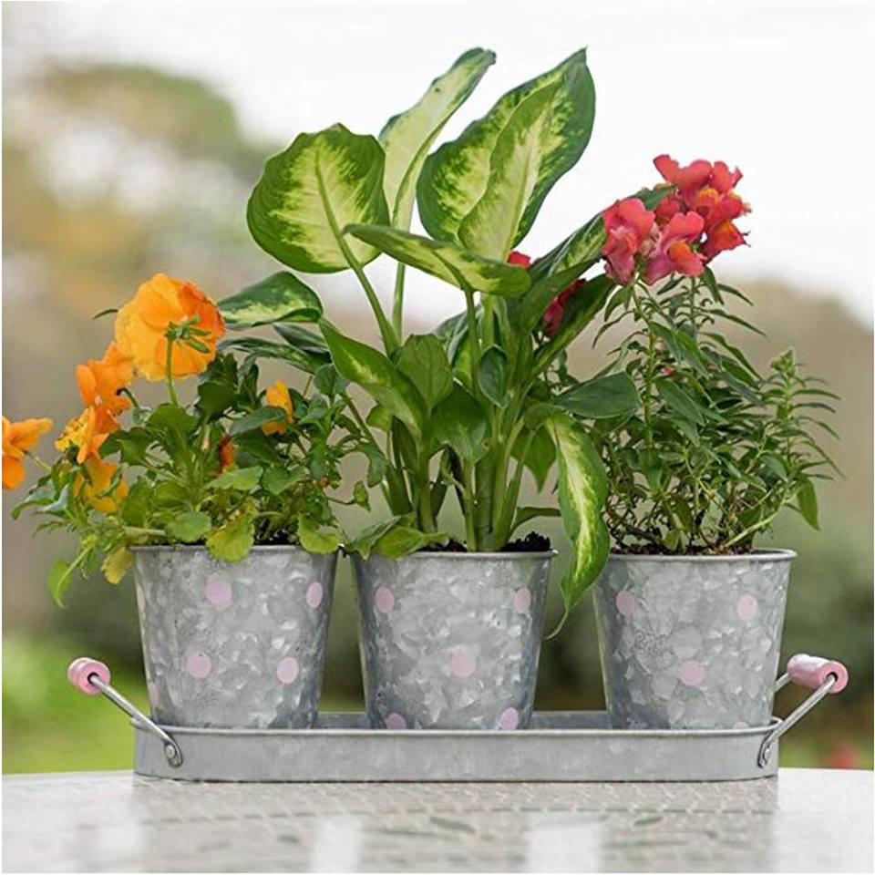 MIF+ Garden Modern Farmhouse Flower Pot Planter Set – Vintage Galvanized Steel Decor Perfect for Herbs and Succulents – Indoor/Outdoor Pots (Pink Dot)