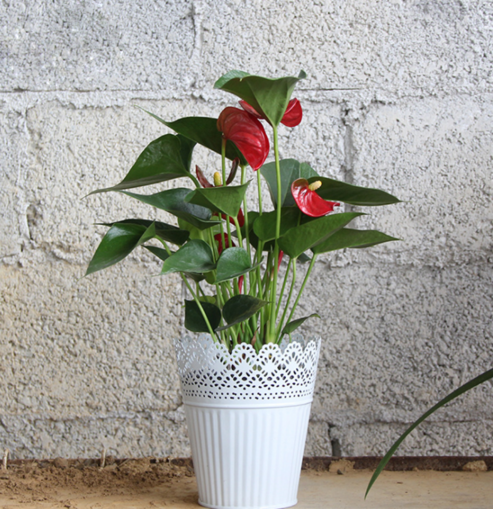 Artificial Planters/Plant Pot or Make-up Pencil Holder or Candle Holder Metal-Pierced Flower Wedding Vase Home Decor (White)