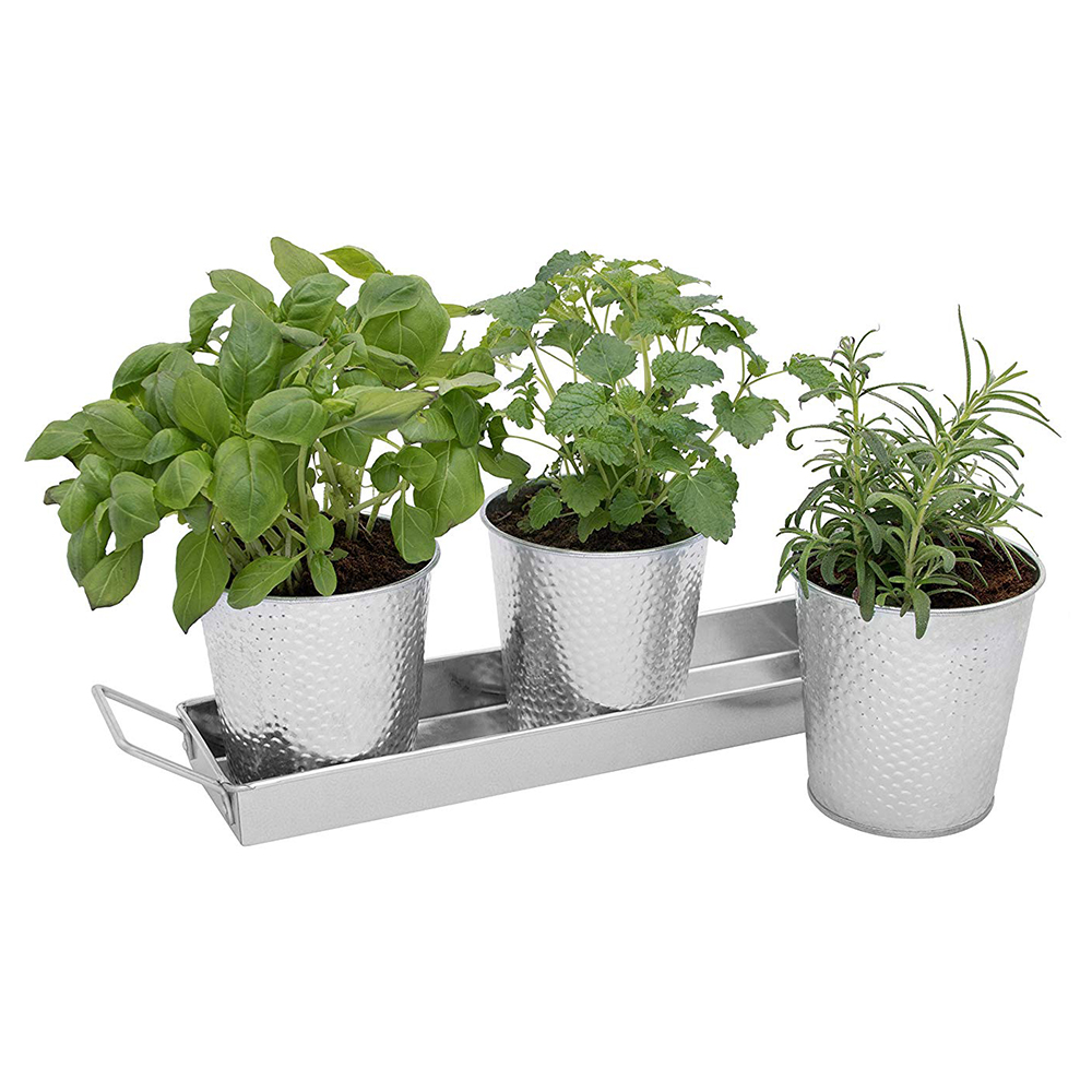 Windowsill Herb Pots - Set of 3 Galvanized Indoor Planters and Tray