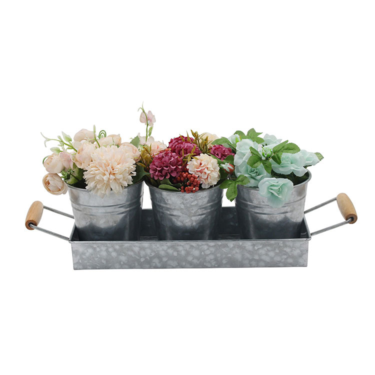 Beautifully display small succulents with the Planter Pot Set