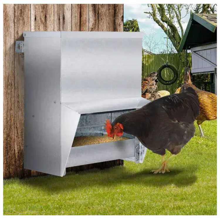 Farm Poultry Chook Feeding Waterproof Steel Wall Mounted Coop 15KG Chicken Feeder Hanging Rat Proof Chicken Feeder