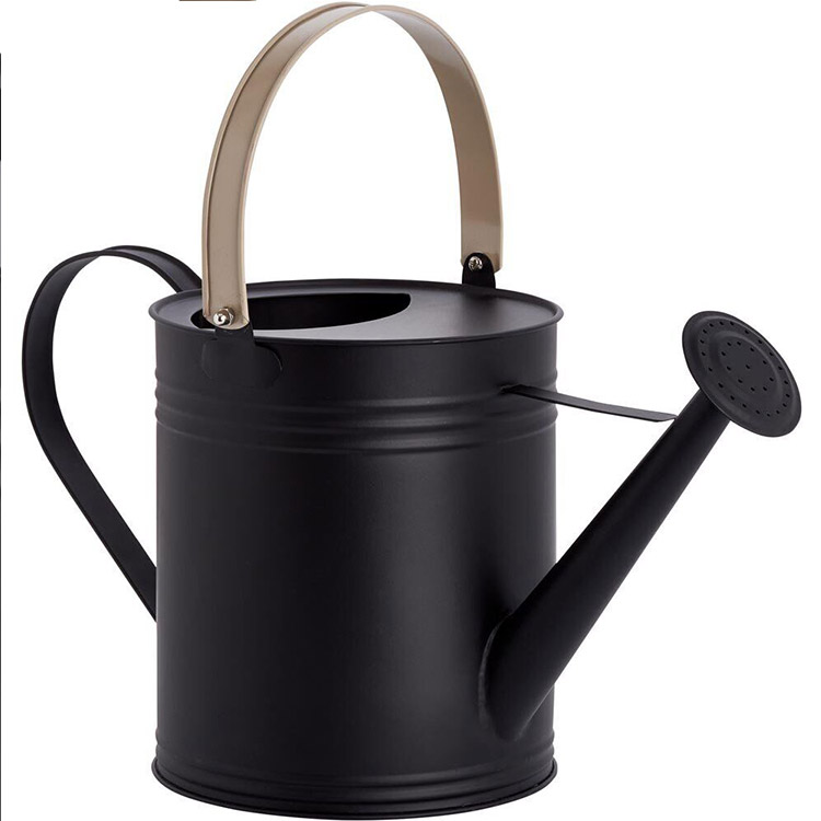 4L Capacity Black Outdoor Metal Watering Can With 2 Handles for Outdoor and Indoo