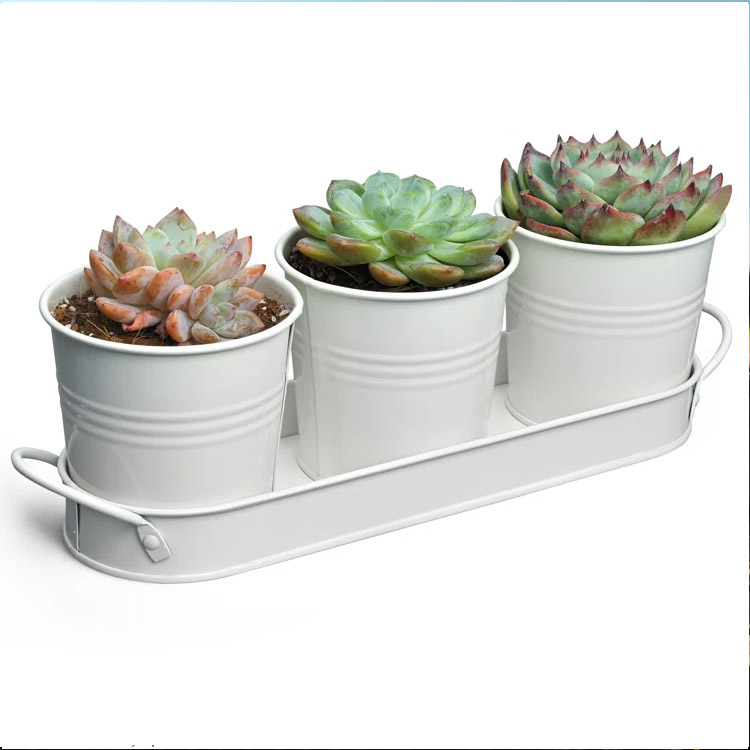 Metal Farmhouse Herb Garden Planter Set with Tray Windowsill Planter Box Indoor Herb Planter Garden Pots Herb Pots