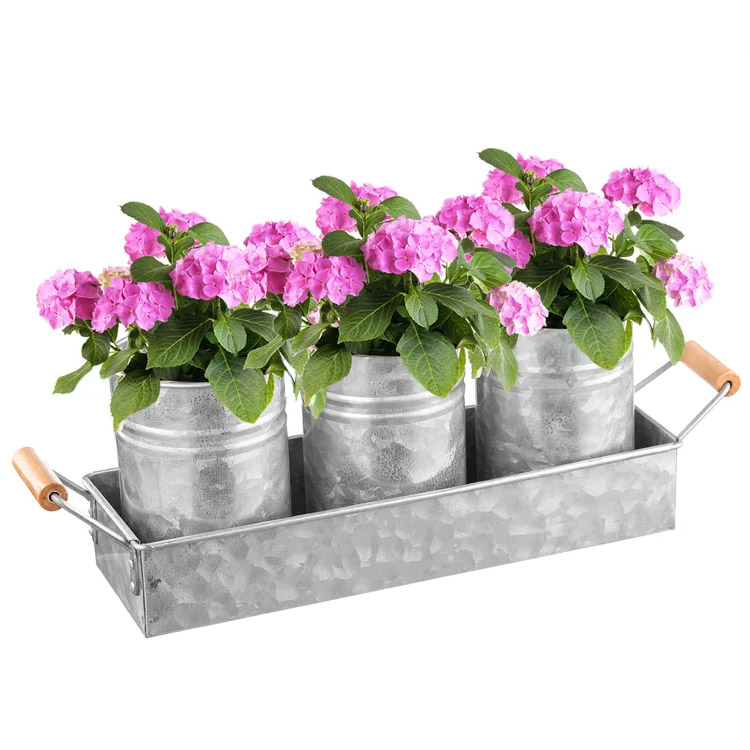 Indoor Herb Pot Garden Planter Set with Tray Metal Windowsill Plant Pots with Dra