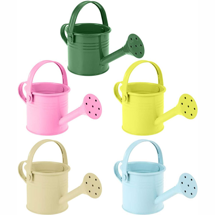 29 metal Watering Can.jpg