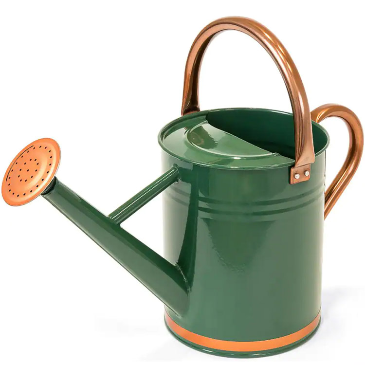 31 metal Watering Can.jpg