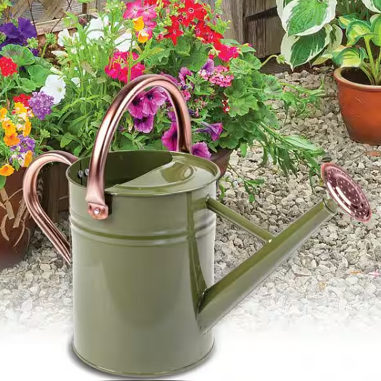 The Charm of Timeless Classic The Metal Watering Can 
