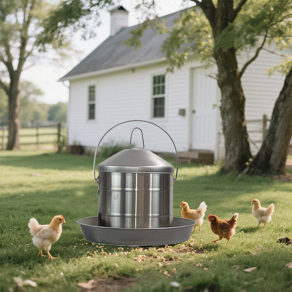 Why Metal Chicken Feeders Are the Best Choice for Poultry Farmers