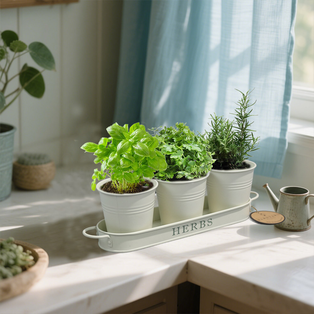 herb Pot 1.jpg