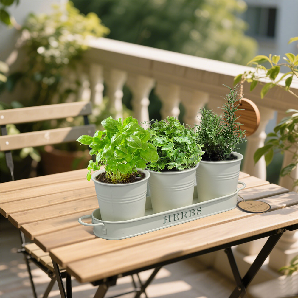 The Ultimate Guide to Metal Flower Pots – Durable, Stylish & Versatile Garden Solutions for 2025
