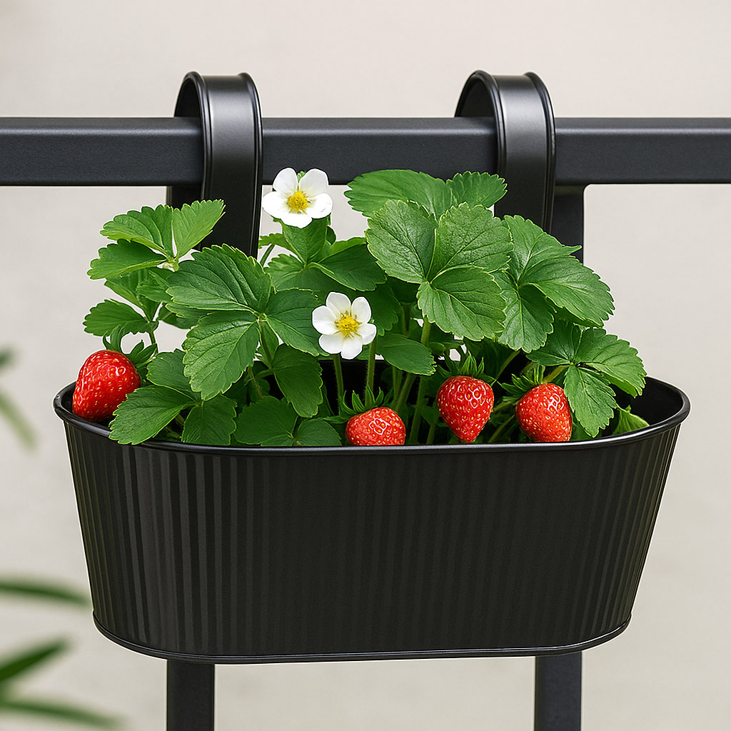 planter 2.jpg