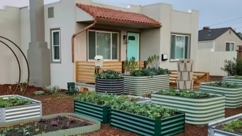 garden.jpg