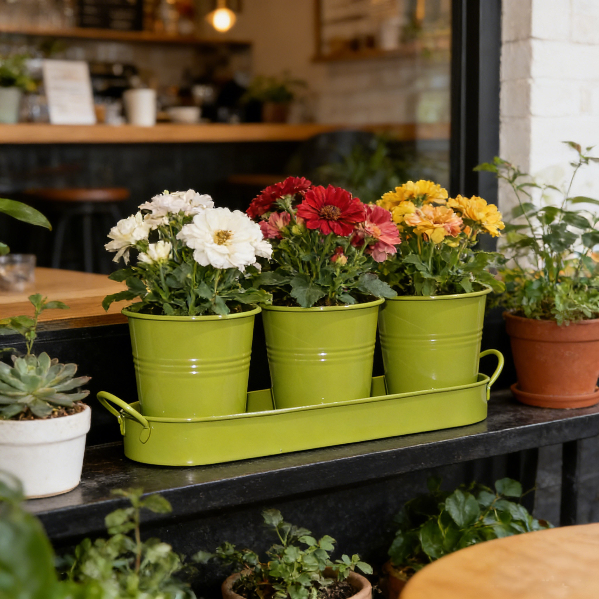 The Growing Demand for Metal Planter Sets in Global Home & Garden Markets